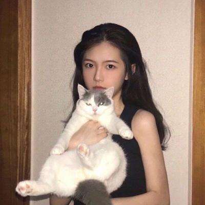 洛克王国手游版下载安装